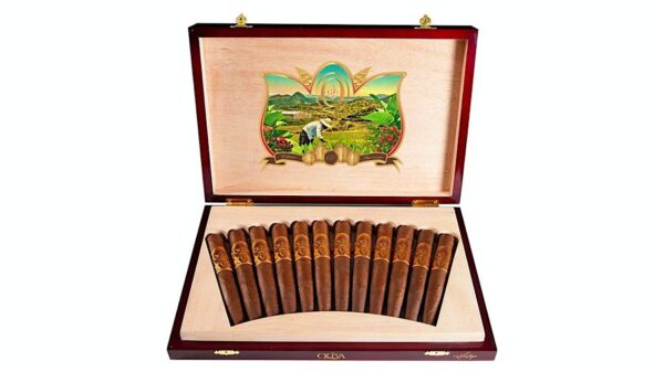 Oliva Serie V 135th Aniversario